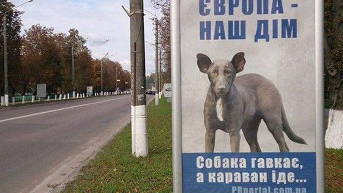 Собака в рекламе Собака в рекламе