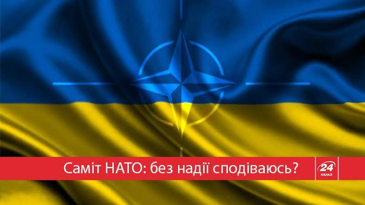 Насколько ближе стала Украина к НАТО? Насколько ближе стала Украина к НАТО?
