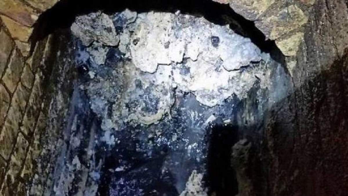 С жирбергом боролись больше двух месяцев С жирбергом боролись больше двух месяцев