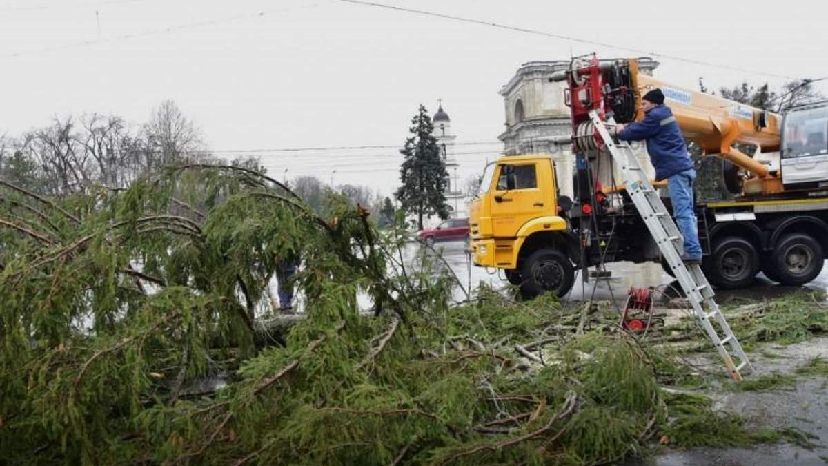 Новорічна ялинка з України зчинила скандал у Молдові Новорічна ялинка з України зчинила скандал у Молдові