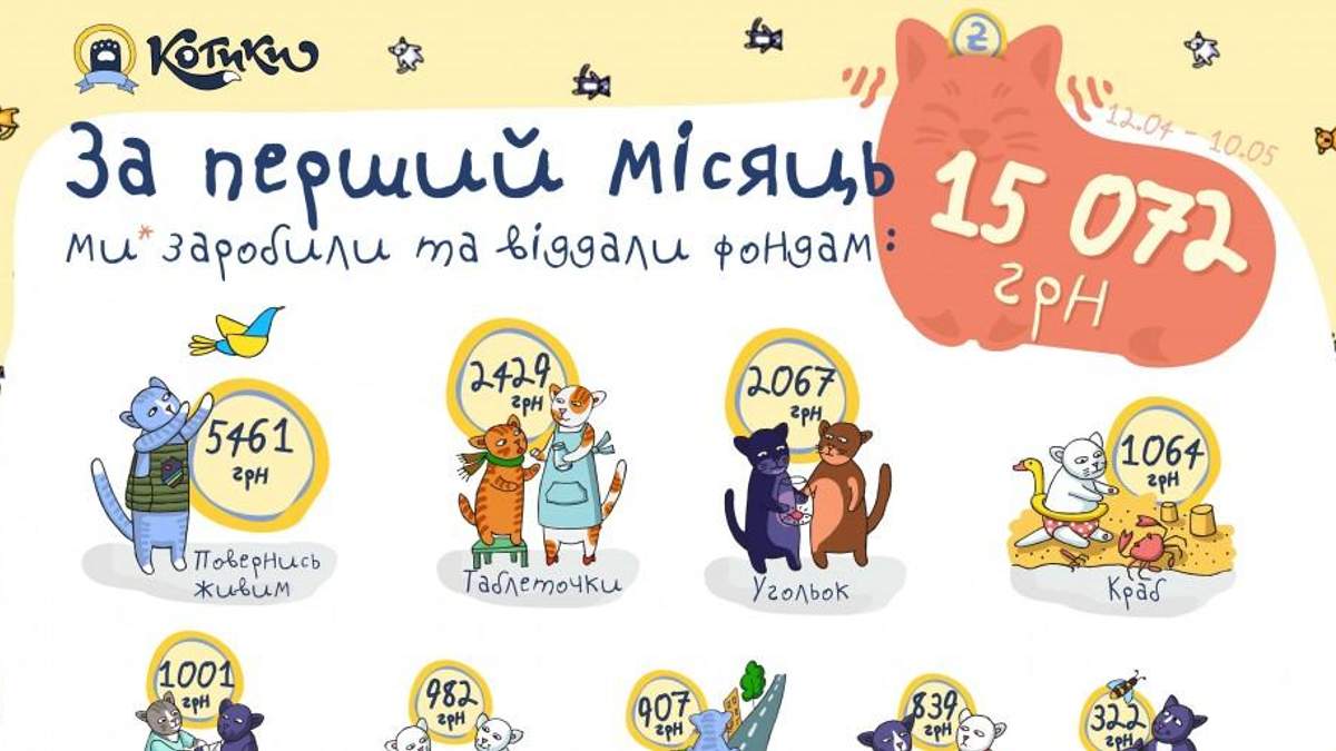 Сайт "Котики" за місяць заробив 35 тисяч гривень на благодійність Сайт "Котики" за місяць заробив 35 тисяч гривень на благодійність