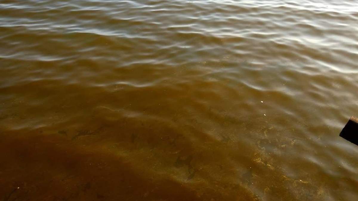 Черное море превратилось в "ржавые" у берегов Одессы Черное море превратилось в "ржавые" у берегов Одессы