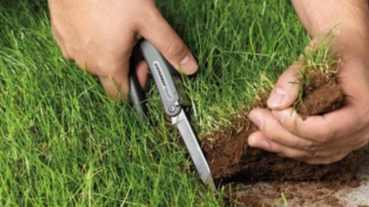 ТОП-4 найвідоміші схеми незаконного захоплення земельних ділянок ТОП-4 найвідоміші схеми незаконного захоплення земельних ділянок