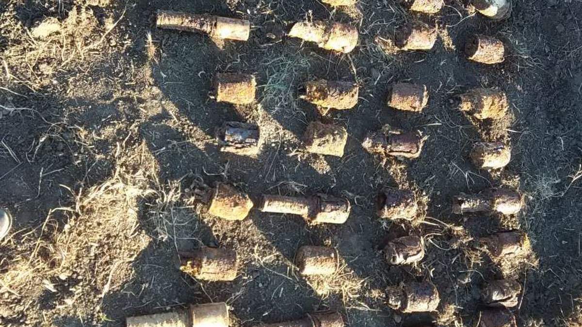 Піротехніки виявили 229 застарілих артилерійських снарядів на Харківщині Піротехніки виявили 229 застарілих артилерійських снарядів на Харківщині