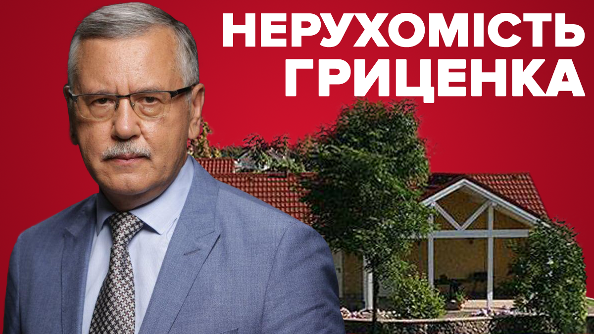 Нерухомість Анатолія Гриценка: що приховує кандидат в Верховну Раду Нерухомість Анатолія Гриценка: що приховує кандидат в Верховну Раду