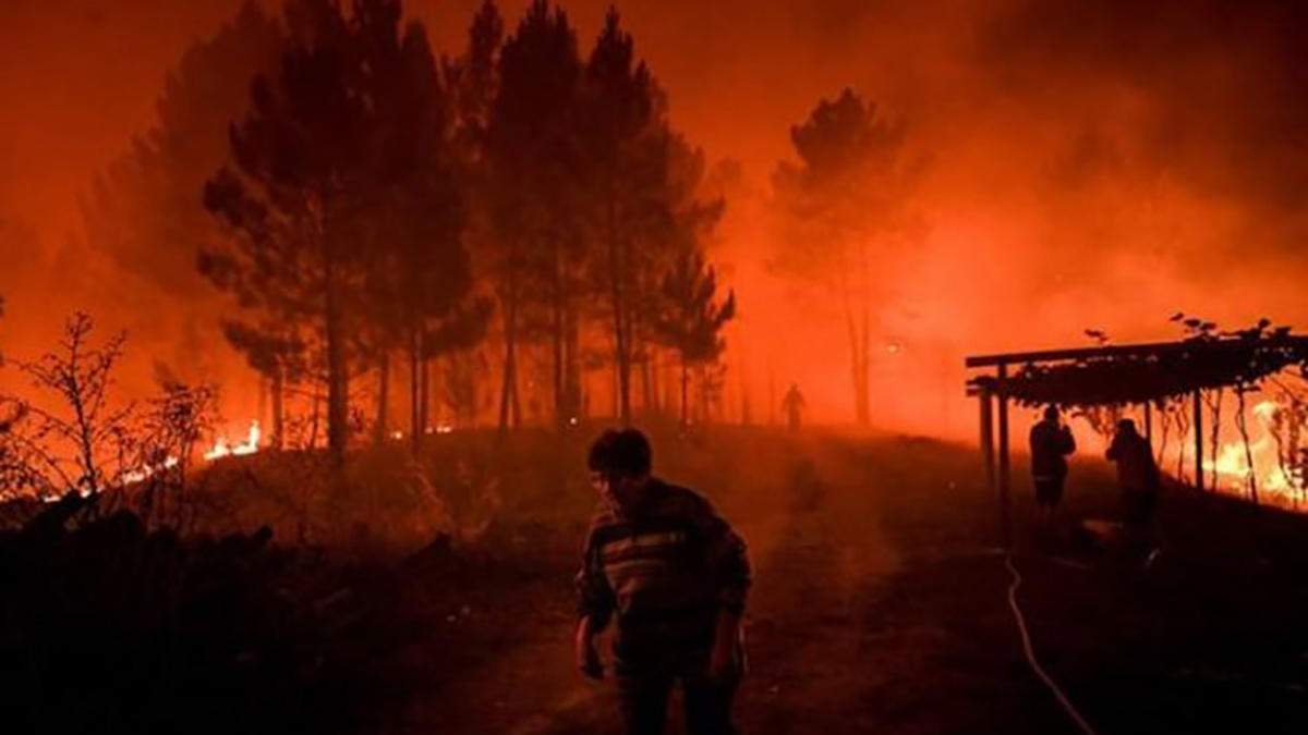 Лесные пожары в Португалии Лесные пожары в Португалии