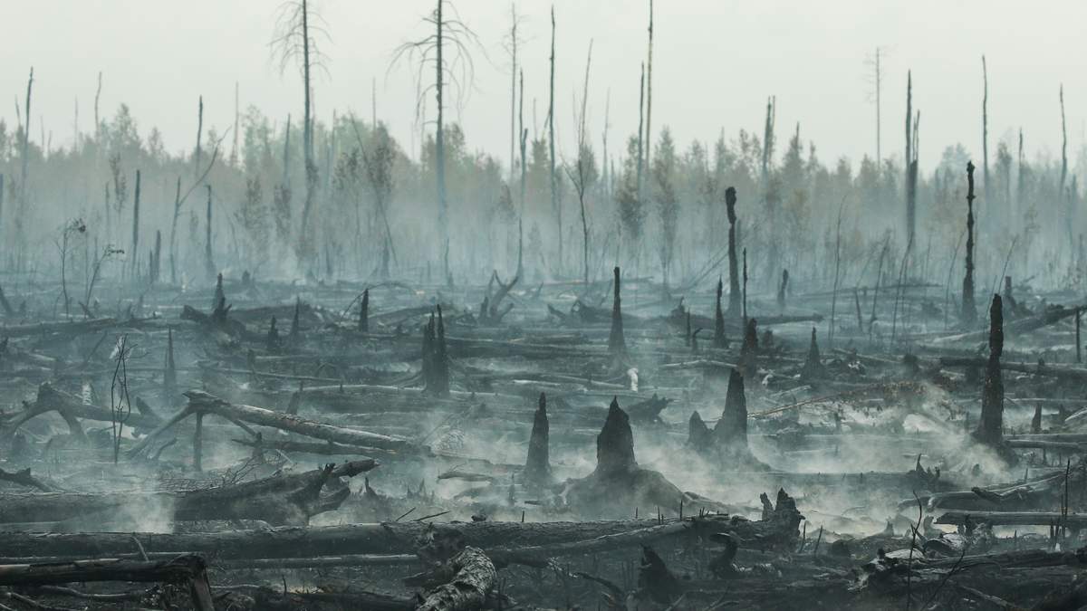Пожежа у Сибірі 2019 – відео з супутника пожежі, його не гасять Пожежа у Сибірі 2019 – відео з супутника пожежі, його не гасять