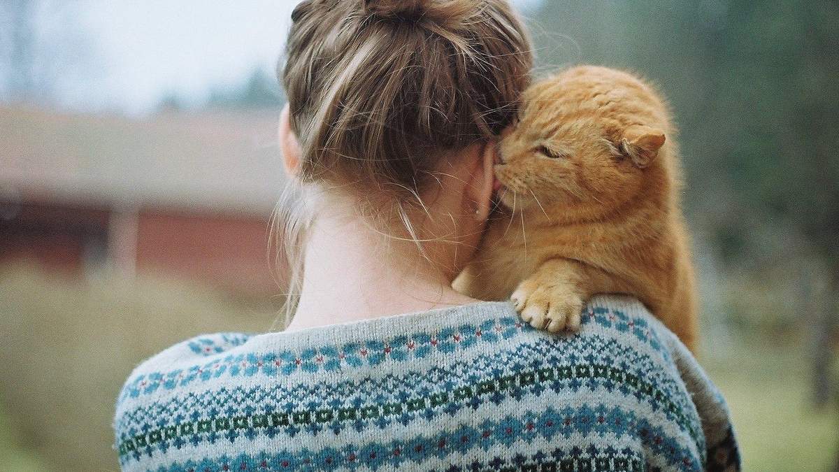 Кошатники и собачники картинки прикольные