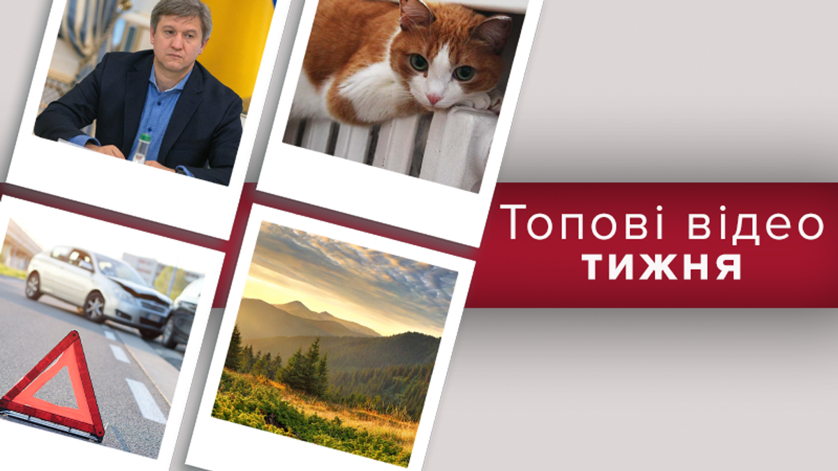 Видео недели Видео недели