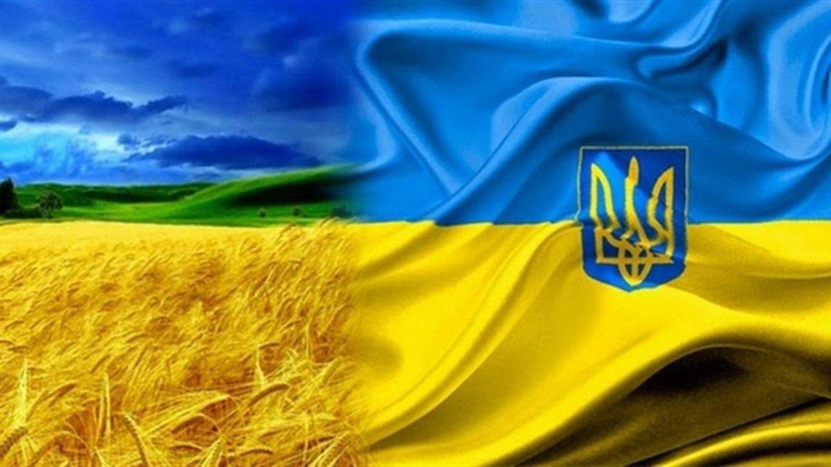 Украинские политики поздравили военных с Днем Защитника Украины Украинские политики поздравили военных с Днем Защитника Украины