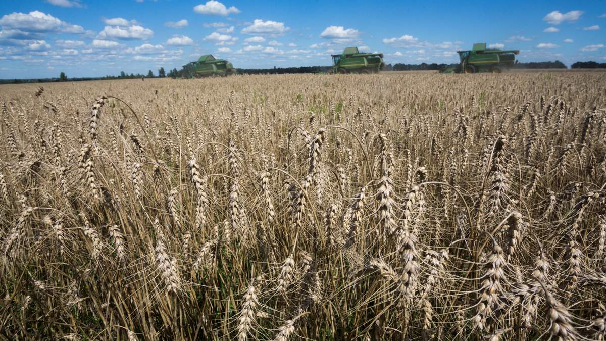 Ukrlandfarming: інновації підвищують врожайність посівів Ukrlandfarming: інновації підвищують врожайність посівів
