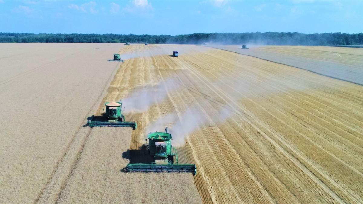 "Укрлендфармінг" "Укрлендфармінг"