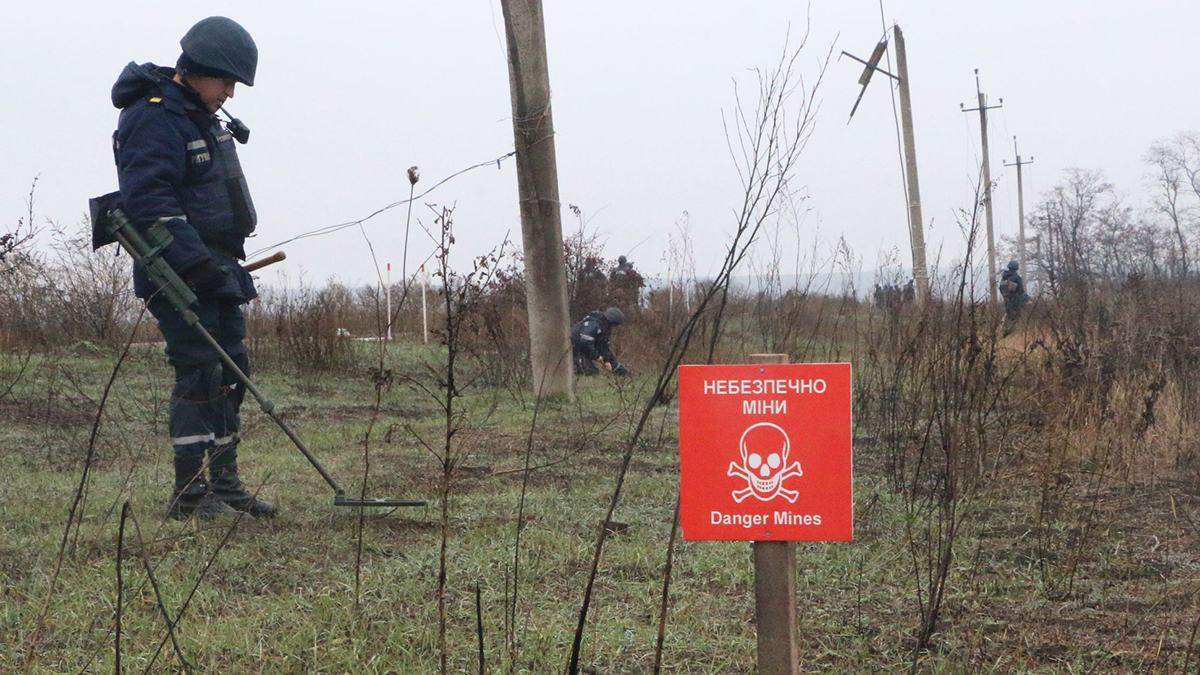 В Петровском спасатели разминируют территорию В Петровском спасатели разминируют территорию