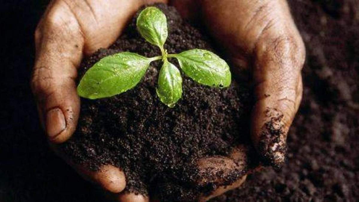 Українці не проти продажу землі, але мають застереження Українці не проти продажу землі, але мають застереження