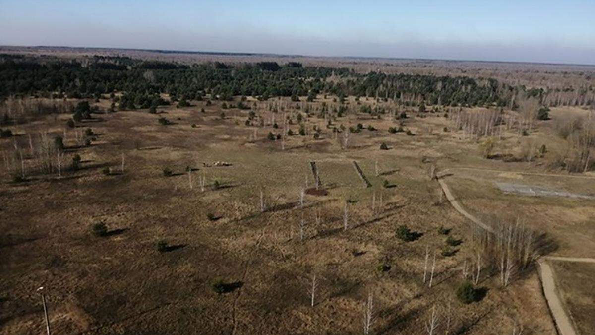 У Чорнобильській зоні горять торфовища У Чорнобильській зоні горять торфовища