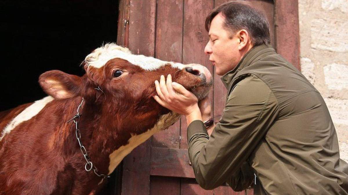 Олег Ляшко буде балотуватись у 208 окрузі загиблого Давиденка Олег Ляшко буде балотуватись у 208 окрузі загиблого Давиденка