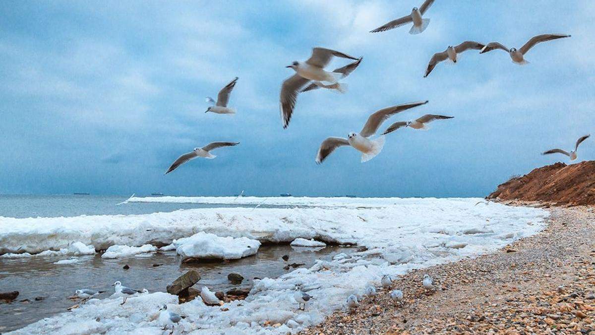 Одеса взимку Одеса взимку