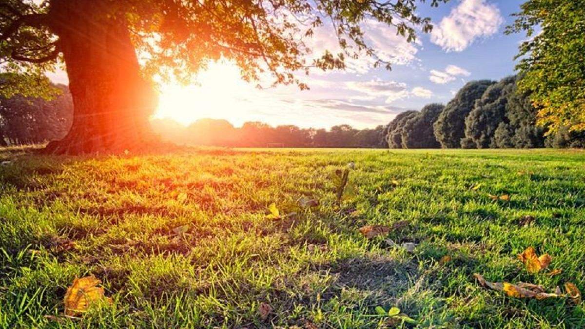 Погода 23 вересня 2020 Україна: яку погоду обіцяє синоптик Погода 23 вересня 2020 Україна: яку погоду обіцяє синоптик