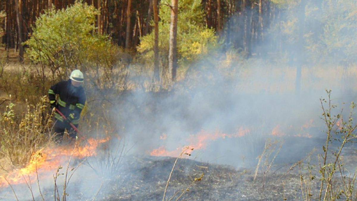 Масштабні пожежі на Луганщині: слідство не виключає версії підпалів Масштабні пожежі на Луганщині: слідство не виключає версії підпалів