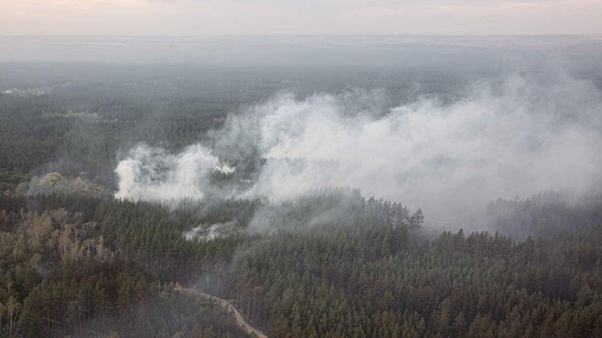 Лісові пожежі на Луганщині: які селища постраждали, фото з висоти Лісові пожежі на Луганщині: які селища постраждали, фото з висоти