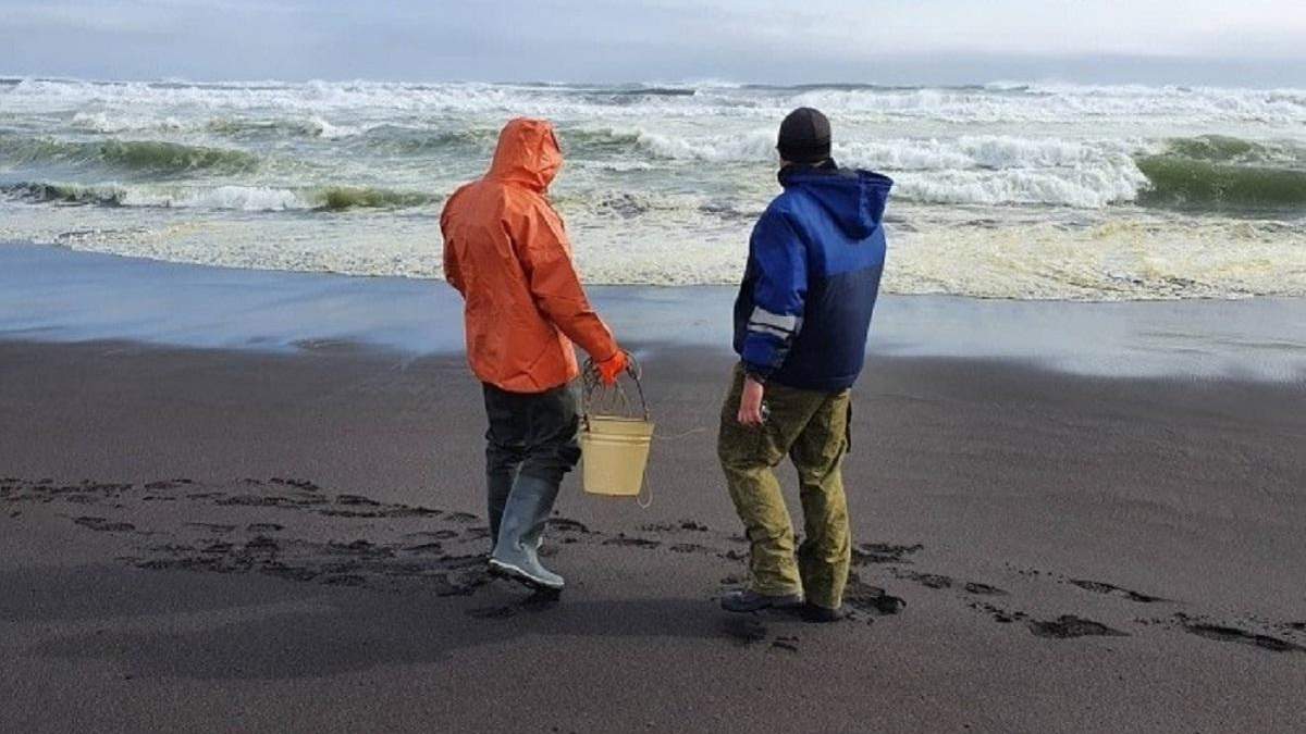 Забруднення води біля Камчатки: що відомо про витік нафти в Росії Забруднення води біля Камчатки: що відомо про витік нафти в Росії