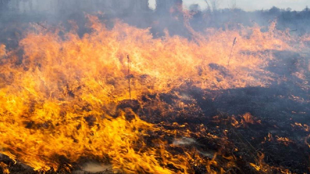 Пожежна небезпека в Україні 17 жовтня 2020: перелік регіонів Пожежна небезпека в Україні 17 жовтня 2020: перелік регіонів