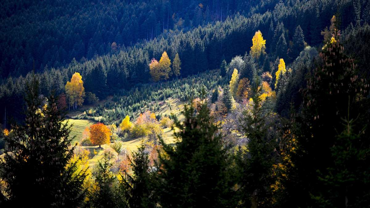 Погода 29 октября 2020: прогноз от синоптиков Украины Погода 29 октября 2020: прогноз от синоптиков Украины
