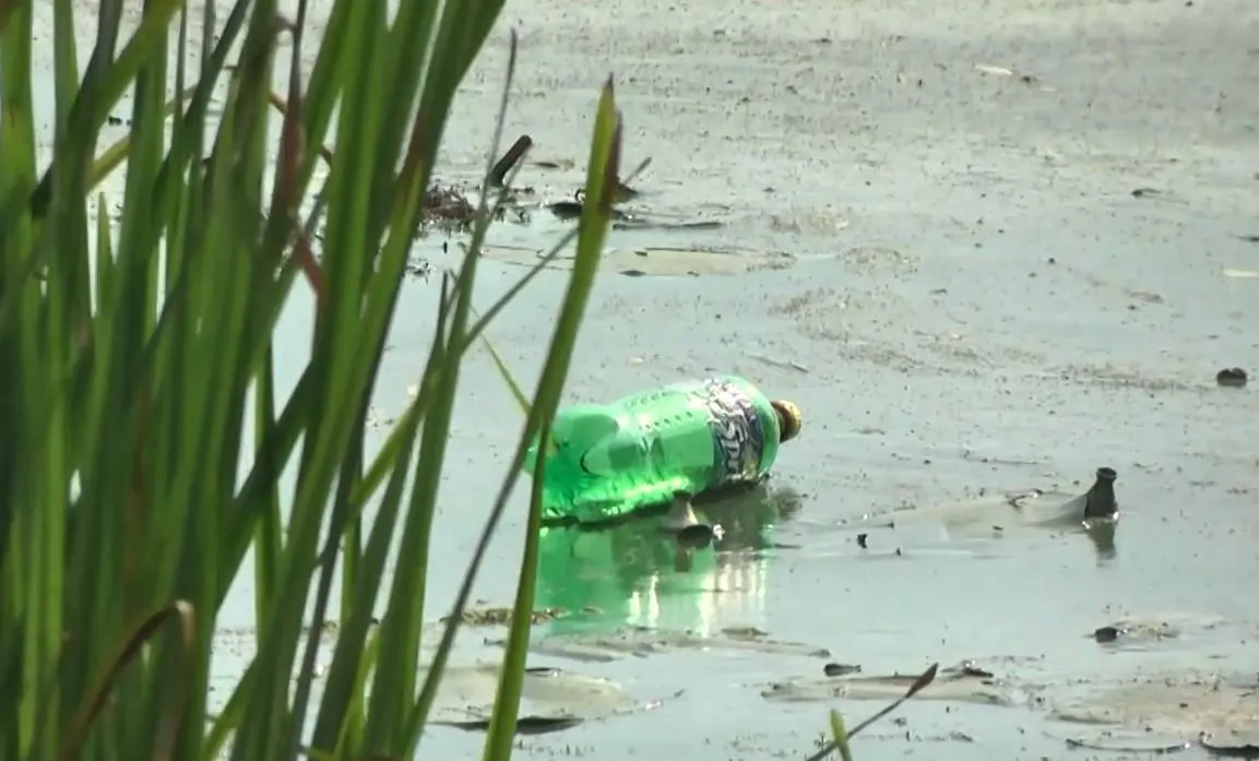 Забруднення у Києві Забруднення у Києві