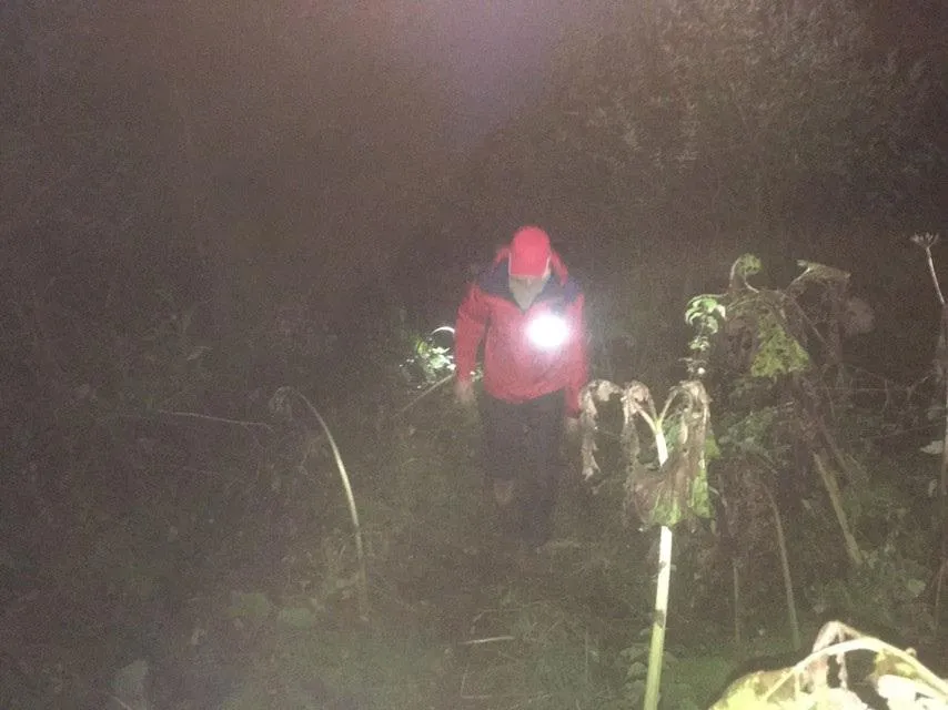 На Закарпатті загубилися четверо людей, які пішли по гриби На Закарпатті загубилися четверо людей, які пішли по гриби