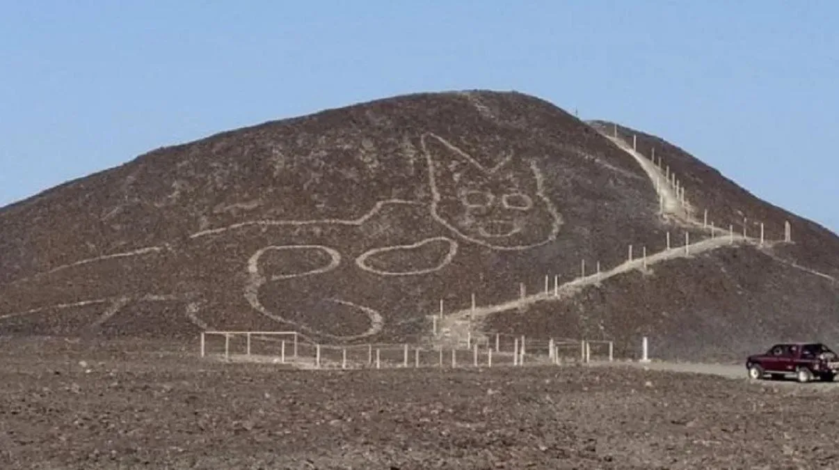 У Перу виявили гігантський малюнок кота